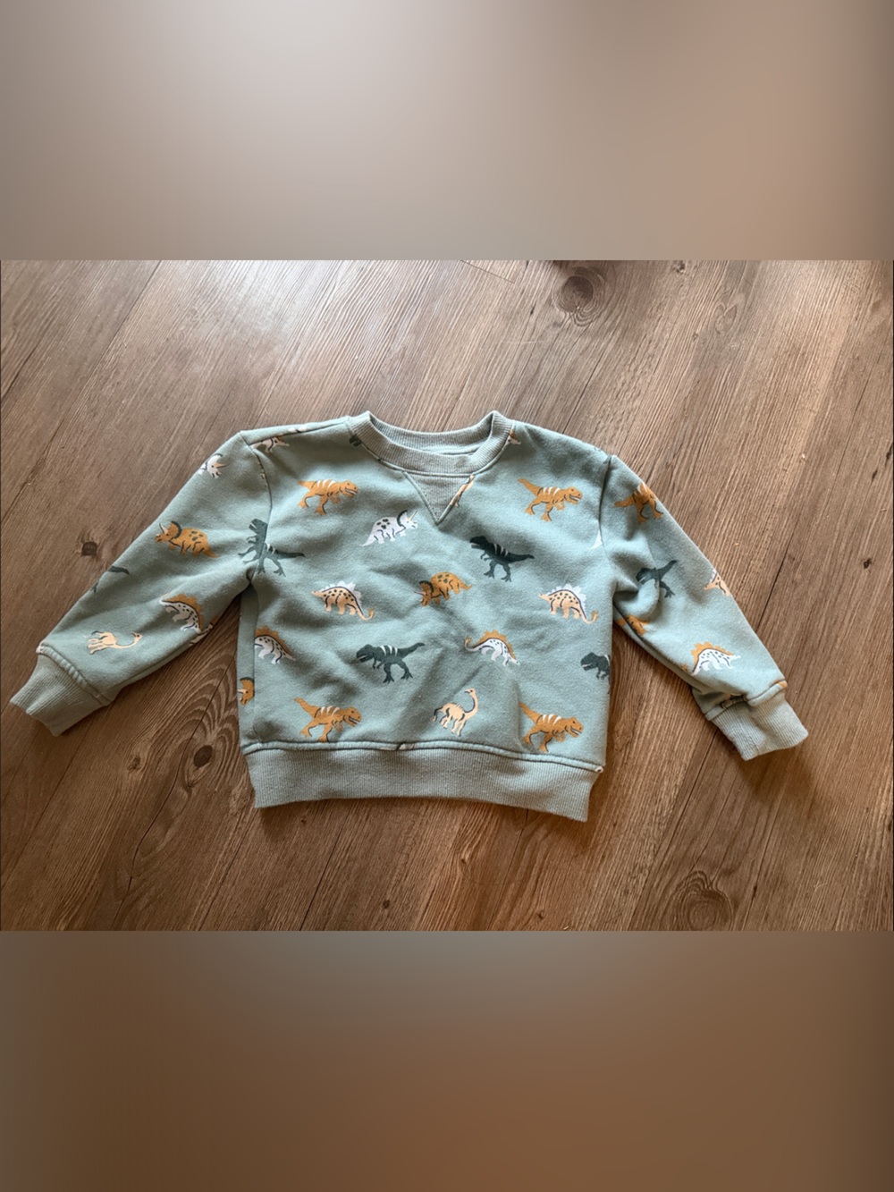 The Children's Place Sage Green Dinosaur Print Sweatshirt